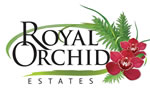 Royal Orchid